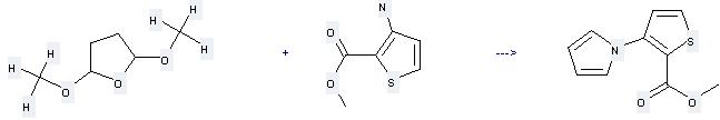 2-Thiophenecarboxylic acid, 3-(1H-pyrrol-1-yl)-, methyl ester can be prepared by 2,5-dimethoxy-tetrahydro-furan and 3-amino-thiophene-2-carboxylic acid methyl ester at the temperature of 80 °C